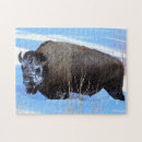 Search for bison puzzles Animals