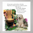 Search for old english sheepdog art Cute
