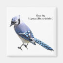 Search for jay magnets Nature