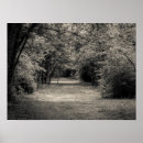 Search for unknown posters Nature