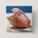 Search for shells badges Sand