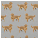 Search for nova Dogs