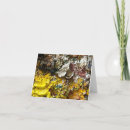 Search for palette cards Orange