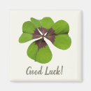 Search for good luck magnets Saint patricks day