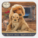 Search for cute labrador stickers Puppies