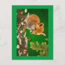Search for furry creature Wildlife