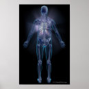 Search for back view posters People