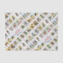 Search for chat gift wrap Cats