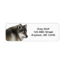 Search for grey wolf return address labels Wolves
