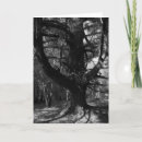 Search for santa photo cards Photos