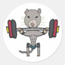 Search for gym rat stickers Weightlifting