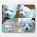 Search for tiny mousepads Dog