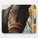 Search for thoroughbred mousepads Equine