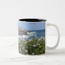 Search for pacific ocean mugs Vacation