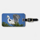 Search for environment luggage tags Habitat