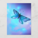 Search for purple blue butterfly postcards Butterflies