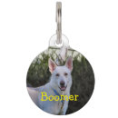 Search for collar photography Dog