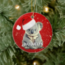 Search for koala bear christmas tree decorations Marsupial