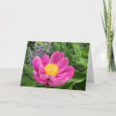 Search for tree peony Garden