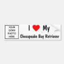 Search for bay bumper stickers Chesapeake