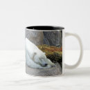 Search for sleepy bear mugs Sleeping