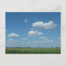 Search for corn field postcards Farm