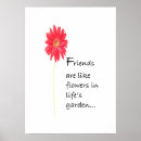 Search for gerber daisy posters Red