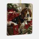 Search for coonhound christmas tree decorations Pet