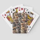 Search for cool cat playing cards Kitty