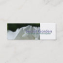 Search for white rose photography Floral