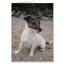 Search for hund Terrier