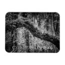 Search for wetlands magnets Wildlife