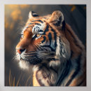Search for tiger wall posters Stripes