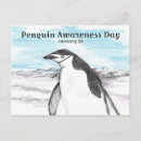 Search for seabirds cards invites Ice