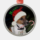 Search for jack russel terrier christmas tree decorations Xmas