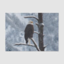 Search for eagle tissue paper Raptor