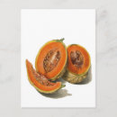 Search for seeds illustrations postcards Fruit