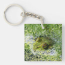 Search for green frog key rings Eyes