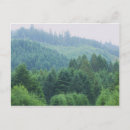 Search for brookings postcards Trees