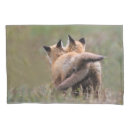 Search for fox pillowcases Animals in the wild