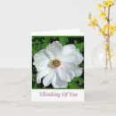 Search for inside photography Thinking of you