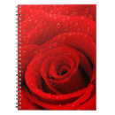 Search for birthday card notebooks Background