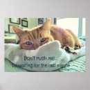Search for kittis art Motivational