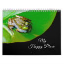 Search for toad office supplies Amphibians