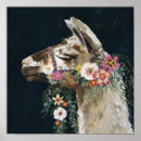 Search for llamas posters Zoo