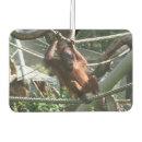 Search for animal car air fresheners Zoo