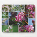 Search for apple mousepads Orchard