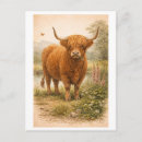 Search for cow drawing postcards Illustration