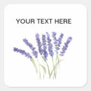 Search for lavender garden stickers Herb