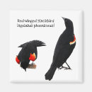Search for wings square magnets Bird